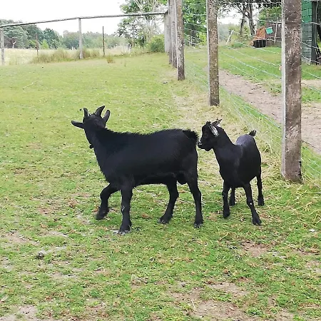 Mala Wenecja - Gosciniec *