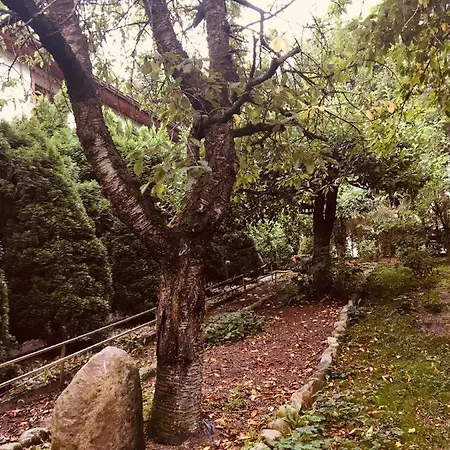 Mala Wenecja - Gosciniec