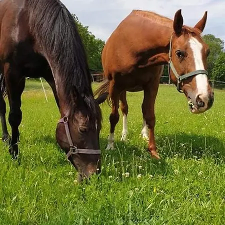 Mala Wenecja - Gosciniec
