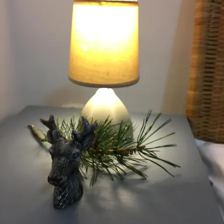 Mala Wenecja - Gosciniec