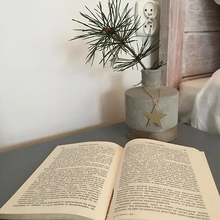 Mala Wenecja - Gosciniec 팜스테이 노베 보로보