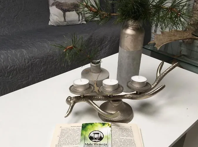 Mala Wenecja - Gosciniec مزرعة للإقامة نوفه فوروفو