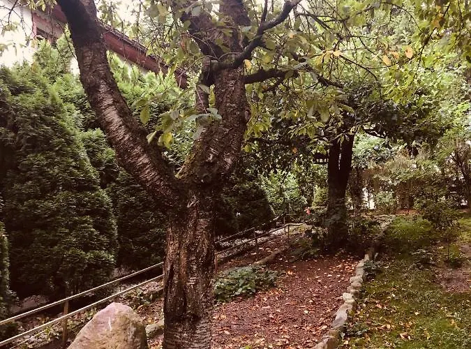 Mala Wenecja - Gosciniec