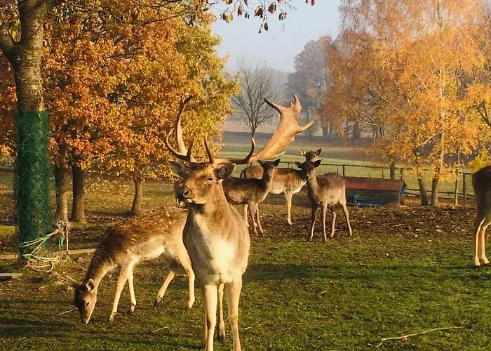 Mala Wenecja - Gosciniec * Nowe Worowo