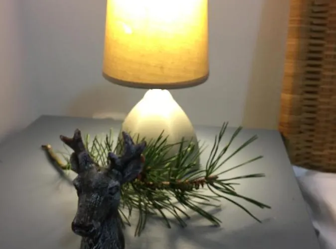 Mala Wenecja - Gosciniec